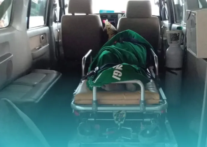 SnapInsta.to_626056753_17948952570084107_8598232622242904189_n